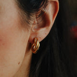 LOUISE EARRINGS