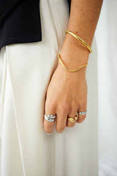DAN RING
