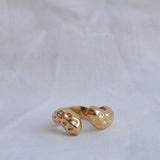 DAN RING