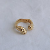 DAN RING