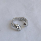 DAN RING